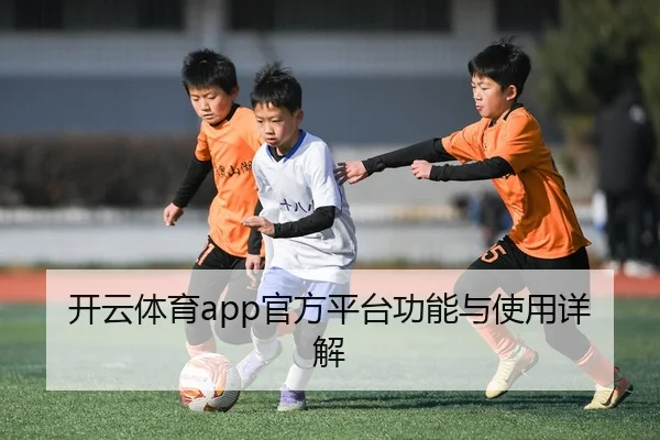 开云体育app官方平台功能与使用详解