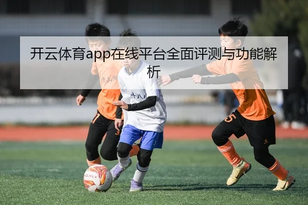 开云体育app在线平台全面评测与功能解析