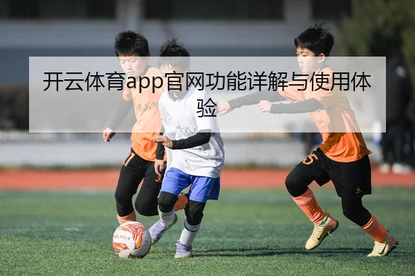 开云体育app官网功能详解与使用体验
